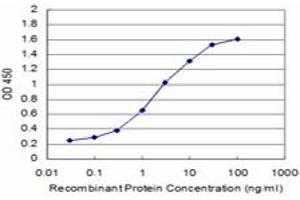 Detection limit for recombinant GST tagged MAGEA9 is approximately 0. (MAGEA9 antibody  (AA 1-315))