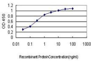 Detection limit for recombinant GST tagged TSSK2 is approximately 0. (TSSK2 antibody  (AA 265-358))