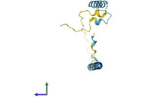 AlphaFold protein structure predicition of Human Recombinant C4orf36 Protein, UniprotID Q96KX1 (C4ORF36 Protein (AA 1-117) (His tag))
