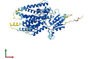 Protein Structure (PS) image for Phosphatidylinositol Glycan Anchor Biosynthesis, Class Z (PIGZ) (AA 1-560) protein (His tag) (ABIN7558878)