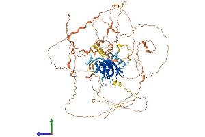 Protein Structure (PS) image for Bromo Adjacent Homology Domain Containing 1 (BAHD1) (AA 1-780) protein (His tag) (ABIN7552694)