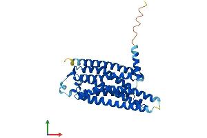 AlphaFold protein structure predicition of Human Recombinant ADORA3 Protein, UniprotID P0DMS8 (Adenosine A3 Receptor Protein (ADORA3) (AA 1-318) (His tag))