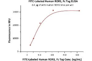ELISA image for Receptor Tyrosine Kinase-Like Orphan Receptor 1 (ROR1) (AA 30-403) (Active) protein (Fc Tag,FITC) (ABIN6973213)