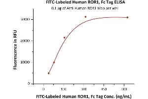Immobilized A ROR1 Mab at 1 μg/mL (100 μL/well) can bind Fed Human ROR1, Fc Tag (ABIN6973213) with a linear range of 39-313 ng/mL (QC tested). (ROR1 Protein (AA 30-403) (Fc Tag,FITC))