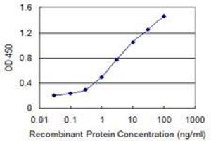 Detection limit for recombinant GST tagged DDX54 is 0. (DDX54 antibody  (AA 778-881))