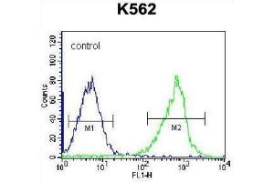 Flow Cytometry (FACS) image for anti-Glutathione S-Transferase mu 5 (GSTM5) antibody (ABIN2996912)