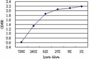 Sandwich ELISA detection sensitivity ranging from approximately 729x to 3x dilution of the DCN 293T overexpression lysate (non-denatured).