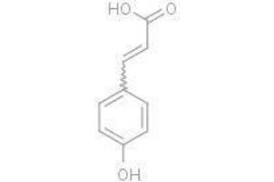 p-Coumaric acid (p-Coumaric acid)