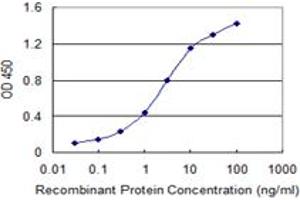 Detection limit for recombinant GST tagged BCAS1 is 0. (BCAS1 antibody  (AA 1-80))