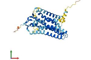 AlphaFold protein structure predicition of Human Recombinant OR51S1 Protein, UniprotID Q8NGJ8 (OR51S1 Protein (AA 1-323) (His tag))
