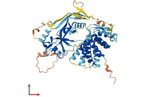 AlphaFold protein structure predicition of Mouse Recombinant Gsdma3 Protein, UniprotID Q5Y4Y6 (Gasdermin A3 Protein (GSDMA3) (AA 1-464) (His tag))
