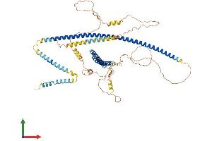 AlphaFold protein structure predicition of Human Recombinant TMCC1 Protein, UniprotID O94876 (TMCC1 Protein (AA 1-653) (His tag))