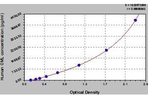 Typical Standard Curve (Carboxy Methyl Lysine ELISA Kit)