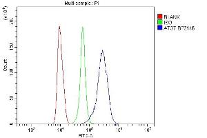 Flow Cytometry analysis of RAW264. (ATG7 antibody  (N-Term))