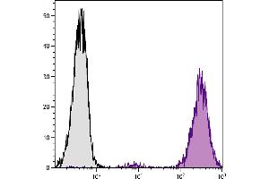 DBA/2 mouse mastocytoma cell line P815 and mB7. (CD86 antibody  (SPRD))