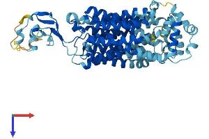 AlphaFold protein structure predicition of Human Recombinant SLC22A10 Protein, UniprotID Q63ZE4 (SLC22A10 Protein (AA 1-541) (His tag))