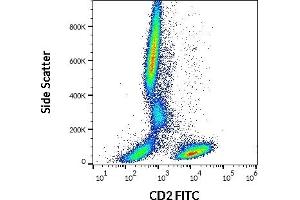 Flow cytometry surface staining pattern of human peripheral whole blood stained using anti-human CD2 (LT2) FITC antibody (20 μL reagent / 100 μL of peripheral whole blood). (CD2 antibody  (FITC))