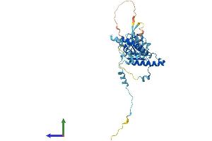 AlphaFold protein structure predicition of Human Recombinant HSP90AB2P Protein, UniprotID Q58FF8 (HSP90AB2P Protein (AA 1-381) (His tag))