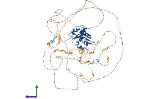 AlphaFold protein structure predicition of Human Recombinant LARP4 Protein, UniprotID Q71RC2 (LARP4 Protein (AA 1-724) (His tag))