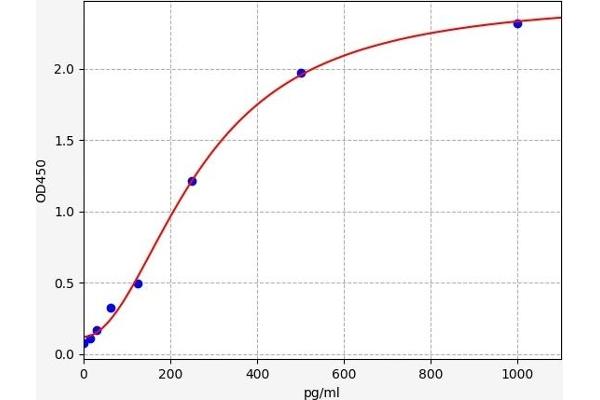 Hepcidin 25 ELISA Kit