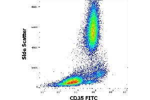 Flow cytometry surface staining pattern of human peripheral whole blood stained using anti-human CD35 (E11) FITC antibody (4 μL reagent / 100 μL of peripheral whole blood). (CD35 antibody  (FITC))