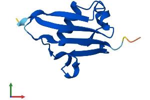 Protein Structure (PS) image for Ubiquitin Related Modifier 1 (Urm1) (AA 1-101) protein (His tag) (ABIN7545077)