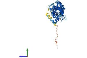 AlphaFold protein structure predicition of Mouse Recombinant Prph2 Protein, UniprotID P15499 (PRPH2 Protein (AA 1-346) (His tag))