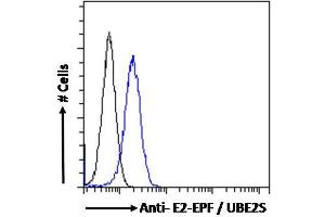 ABIN184893 Flow cytometric analysis of paraformaldehyde fixed HeLa cells (blue line), permeabilized with 0. (UBE2S antibody  (N-Term))
