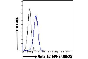 ABIN184893 Flow cytometric analysis of paraformaldehyde fixed HeLa cells (blue line), permeabilized with 0.