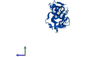 AlphaFold protein structure predicition of Mouse Recombinant Fam78b Protein, UniprotID Q8BQN5