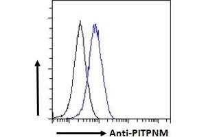 ABIN185208 Flow cytometric analysis of paraformaldehyde fixed A549 cells (blue line), permeabilized with 0. (PITPNM1 antibody  (C-Term))