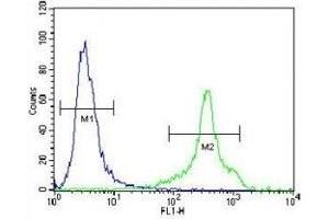 HLA-DQA1 antibody flow cytometric analysis of NCI-H460 cells (green) compared to a negative control cell (blue).