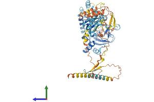 AlphaFold protein structure predicition of Human Recombinant CNBD2 Protein, UniprotID Q96M20