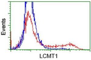 HEK293T cells transfected with either RC200018 overexpress plasmid (Red) or empty vector control plasmid (Blue) were immunostained by anti-LCMT1 antibody (ABIN2454710), and then analyzed by flow cytometry. (LCMT1 antibody)