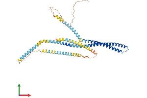 AlphaFold protein structure predicition of Human Recombinant CCDC51 Protein, UniprotID Q96ER9 (CCDC51 Protein (AA 1-411) (His tag))