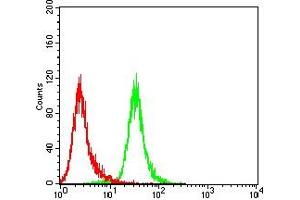 Flow Cytometry (FACS) image for anti-MutL Homolog 1 (MLH1) (AA 381-483) antibody (ABIN7193587)
