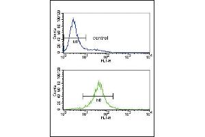 IL10 Antibody (Center) (ABIN653057 and ABIN2842660) flow cytometry analysis of Jurkat cells (bottom histogram) compared to a negative control (top histogram). (IL-10 antibody  (AA 27-53))
