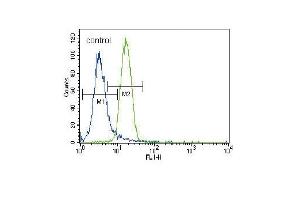 Parkin Antibody (C-term) (ABIN390366 and ABIN2840772) flow cytometric analysis of NCI- cells (right histogram) compared to a negative control cell (left histogram). (Parkin antibody  (C-Term))