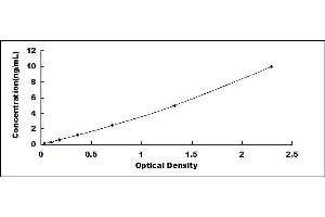 Typical standard curve (SCD ELISA Kit)