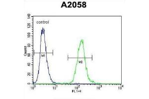 Flow Cytometry (FACS) image for anti-DDB1 and CUL4 Associated Factor 4-Like 2 (DCAF4L2) antibody (ABIN2995734) (DCAF4L2 antibody)