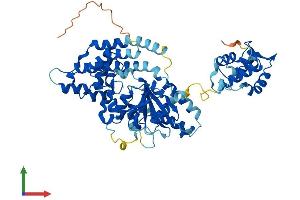 Protein Structure (PS) image for EH-Domain Containing 4 (EHD4) (AA 1-541) protein (His tag) (ABIN7561406)
