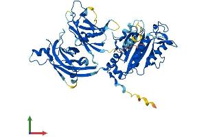 AlphaFold protein structure predicition of Mouse Recombinant Cpne9 Protein, UniprotID Q1RLL3