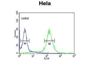 Flow Cytometry (FACS) image for anti-Mercaptopyruvate Sulfurtransferase (MPST) antibody (ABIN3003390) (MPST antibody)