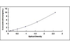 Typical standard curve (MCL-1 ELISA Kit)