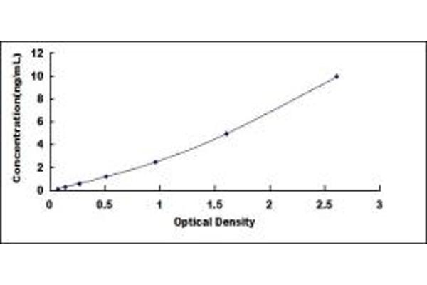 MCL-1 ELISA Kit