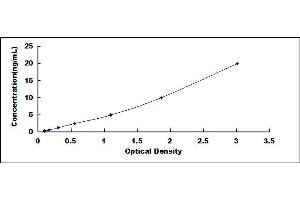 Typical standard curve (LGALS1/Galectin 1 ELISA Kit)