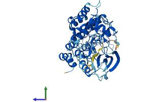 AlphaFold protein structure predicition of Mouse Recombinant Ilk Protein, UniprotID O55222