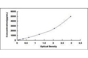 Prostaglandin D2 Synthase (PTGDS) ELISA Kit