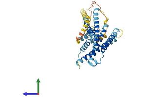 AlphaFold protein structure predicition of Mouse Recombinant Mrgprb8 Protein, UniprotID Q7TN51 (MRGPRB8 Protein (AA 1-330) (His tag))