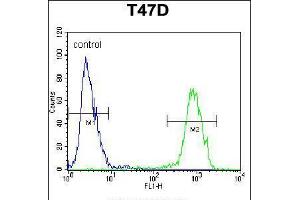 Flow cytometric analysis of T47D cells (right histogram) compared to a negative control cell (left histogram). (Enkephalin antibody  (AA 145-174))